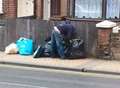 Leave our bins alone