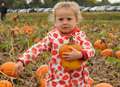 Where to pick your pumpkin for Halloween