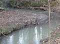 Kent stream 'third most polluted' in the UK