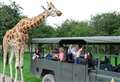 Unlimited days out at Kent’s biggest wildlife parks 