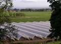 Locals wage battle to stop polytunnels