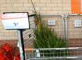 Last-minute shoppers snap up 1p tree deal