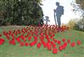 Thousands of poppies appear in park