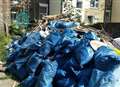 Feral cats found breeding in rubbish heap