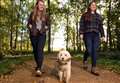 Pooch Passport launched for dog walkers