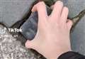 TikToker goes viral after taking cobblestone for 'souvenir'