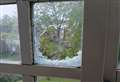 Man arrested after house windows smashed