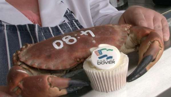 A crab gets to grips with one of the cupcakes on Sue's Seafood Stall on the seafront.