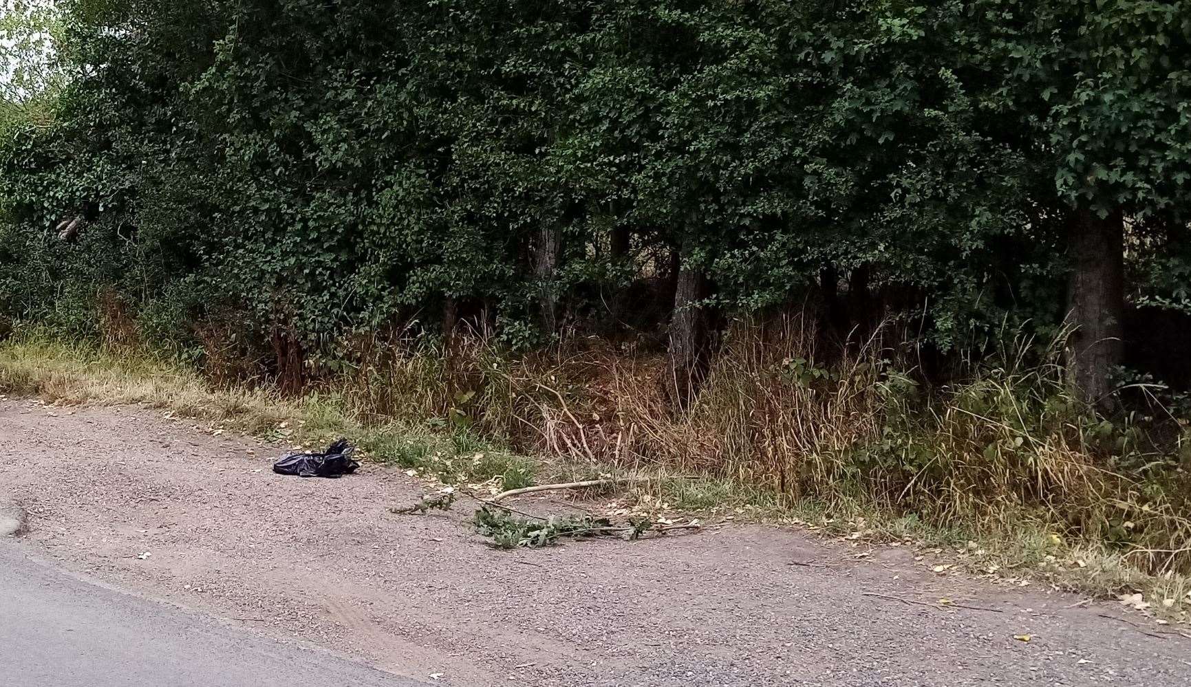 A dead dog was found wrapped in a plastic bag in Plain Road, Marden