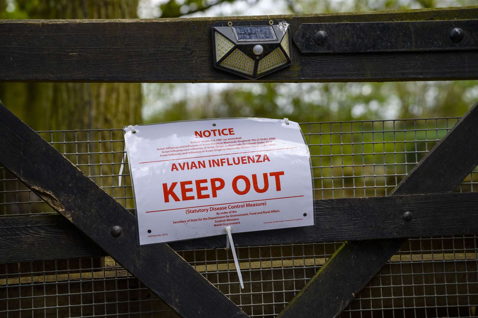 The UK is facing its highest ever number of bird flu cases. Picture: Mark Bullimore Photography 2022.