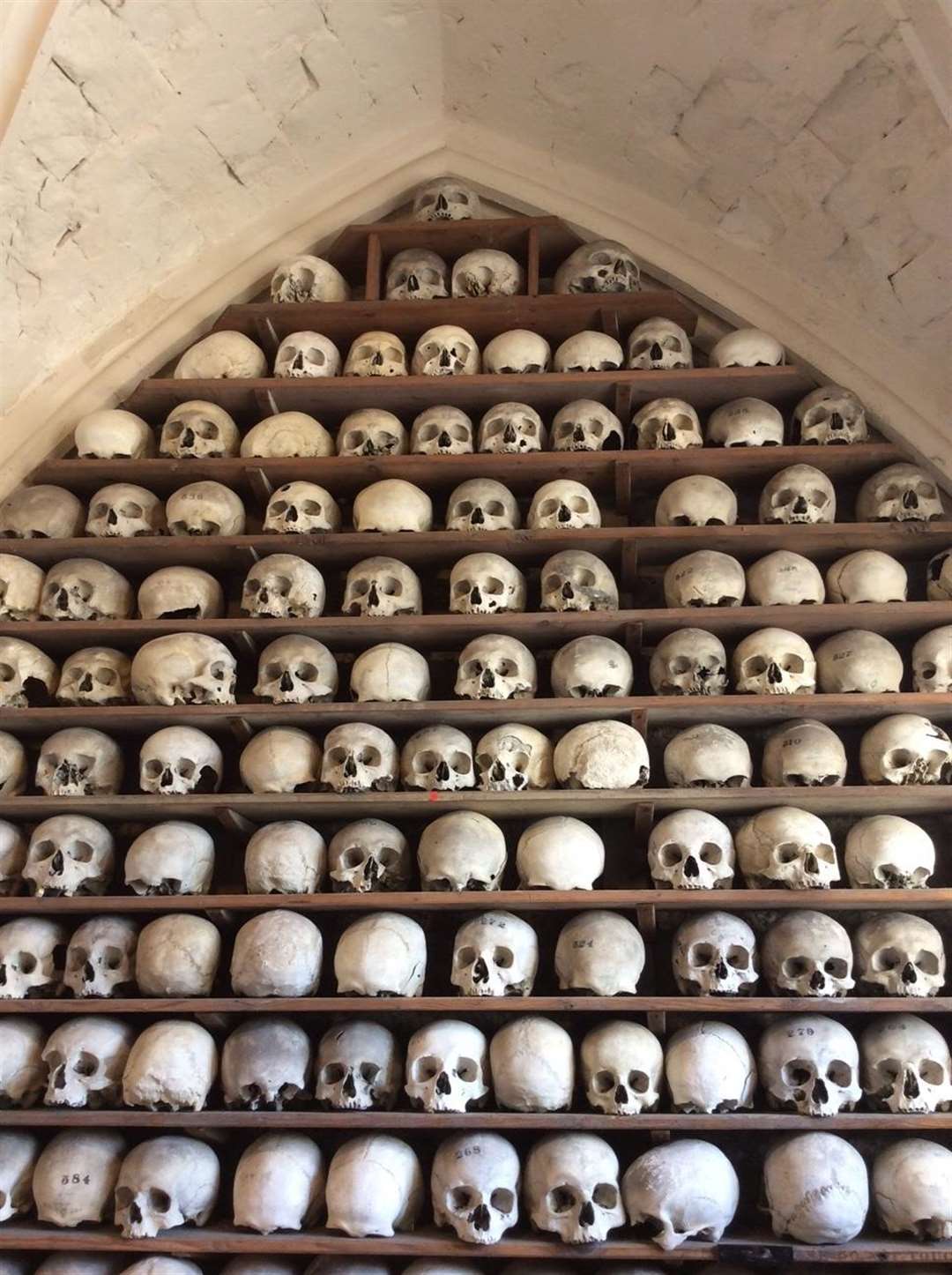 Skulls at Hythe Ossuary (3175378)
