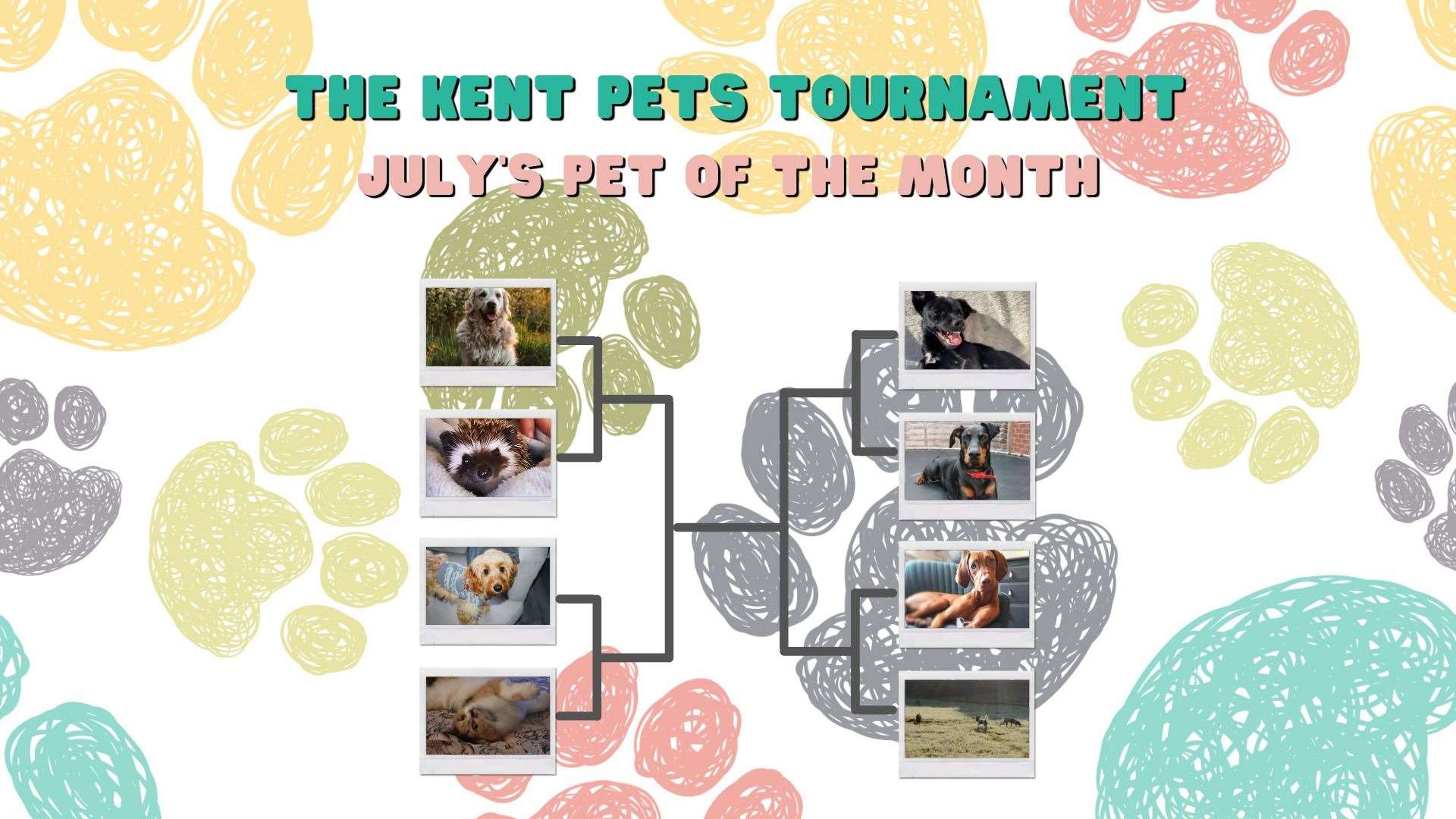 Vote in the first round of July's Kent Pet Tournament