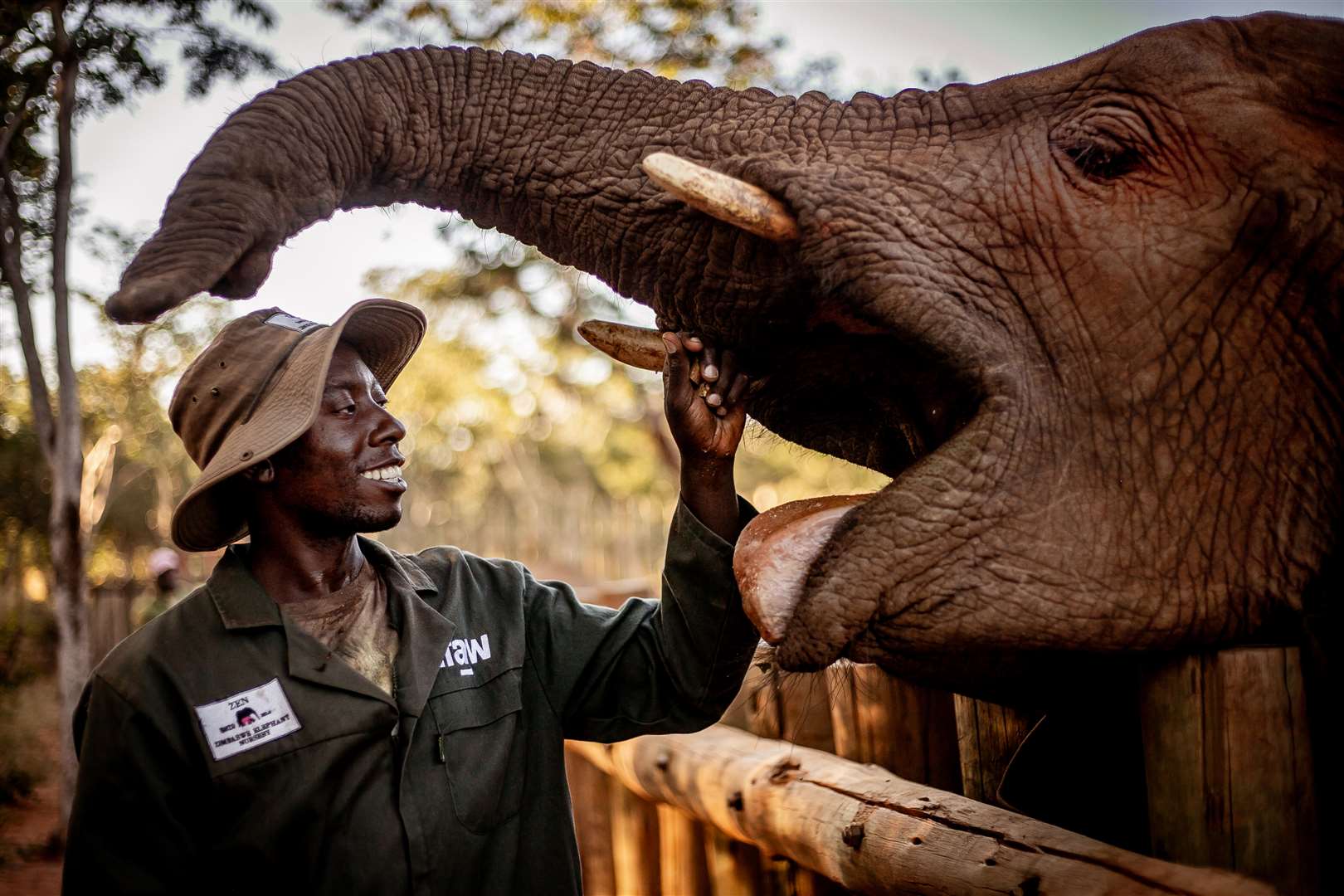 The handlers at the elephant rehabilitation project are continuing to look after their individual animals (IFAW/Lesanne Dunlop/PA)