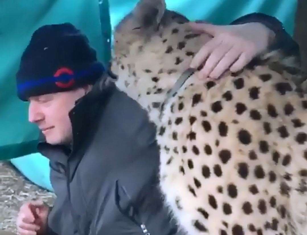 Boris Johnson meets Saba the cheetah. Picture: Twitter/Boris Johnson
