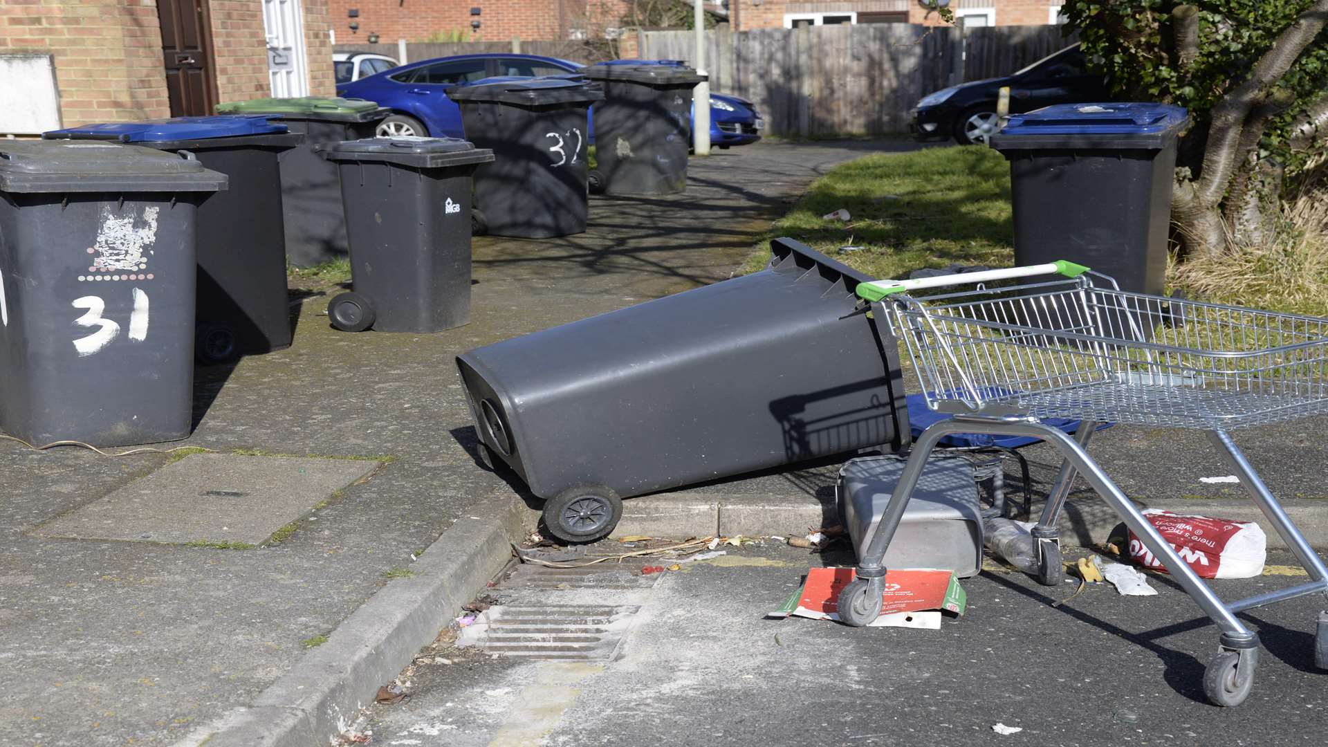 An abandoned trolley and upset bins in Regency Place. Picture: Chris Davey