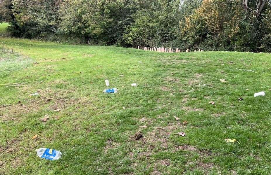 There was also litter discarded in the park. Picture: Mike Cairns