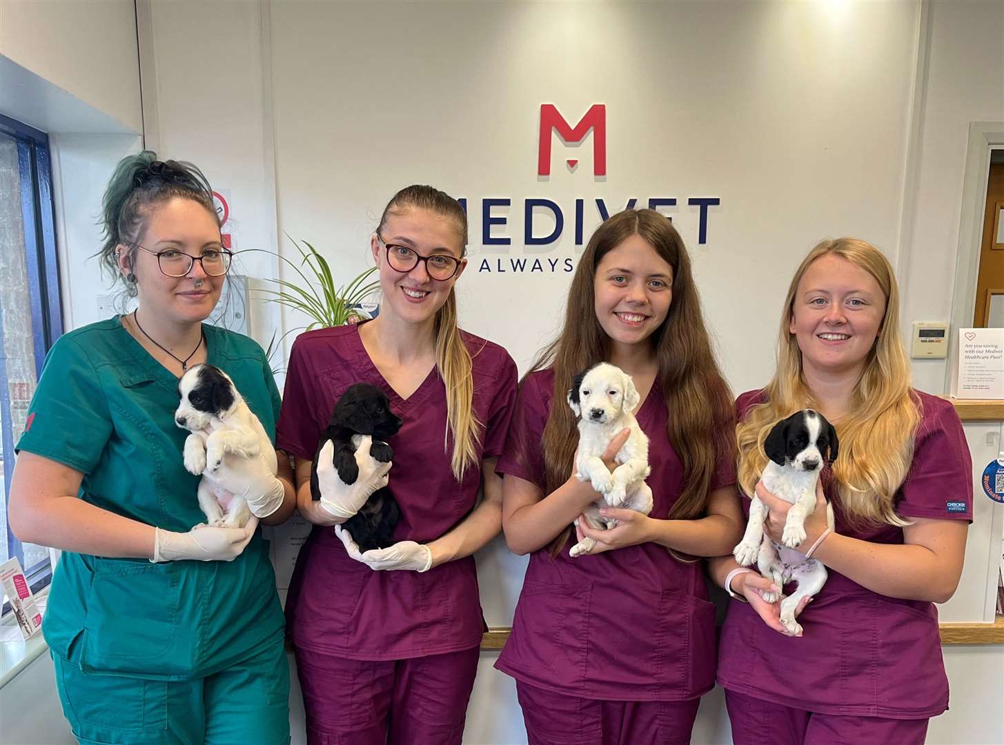 From the left: Head nurse, Mia Pring, Student nurses Jess Harris, Phoebe Mallion, and Amelia Maynard holding the four abandoned puppies. Picture: Medivet