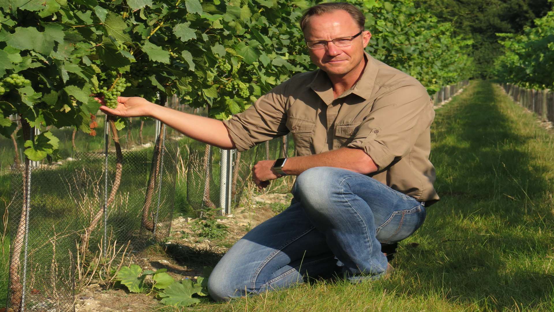Wine maker Charles Simpson examines the vines at his estate