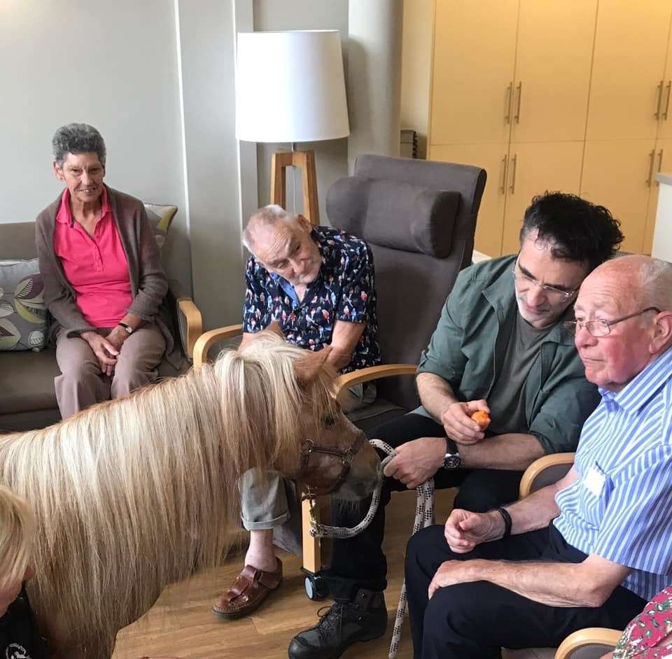 Therapy ponies met residents at the Heart of Kent Hospice near Maidstone thanks to TV Supervet Professor Noel Fitzpatrick. The encounter was featured on Channel 4's Animal Rescue Live (15365558)