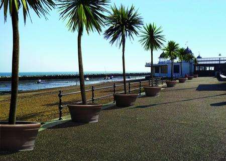 What Herne Bay could look like with palm trees