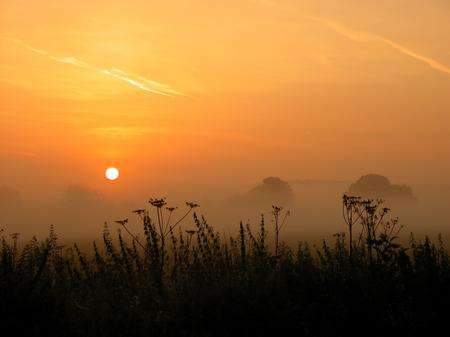Sunrise over Farming World, Faversham. Picture: Sarah Williams