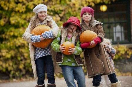 The National Trust will have pumpkins at the ready for half term Picture: National Trust Images
