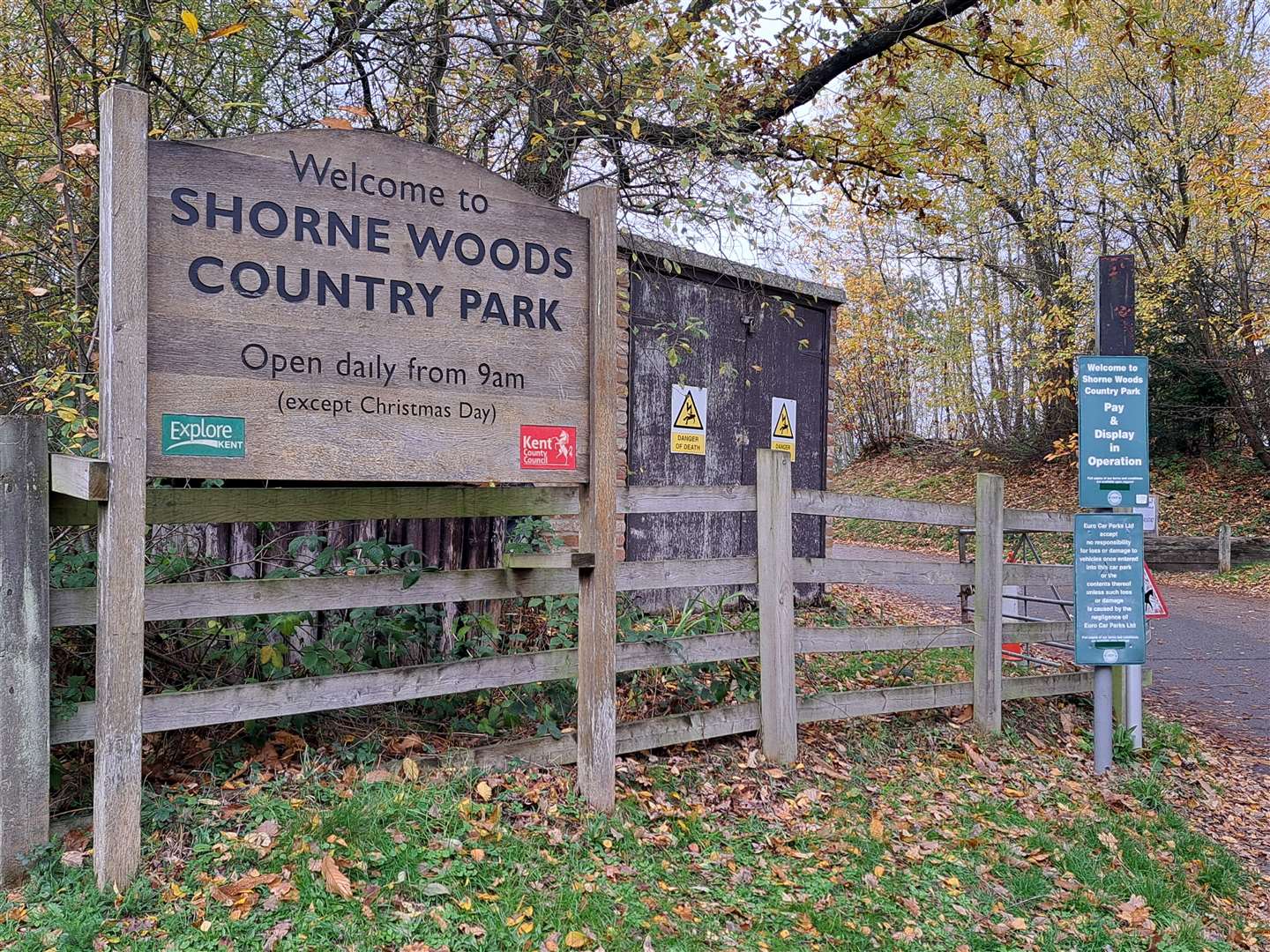 Enjoy a day in the great outdoors this January at Shorne Woods Country Park