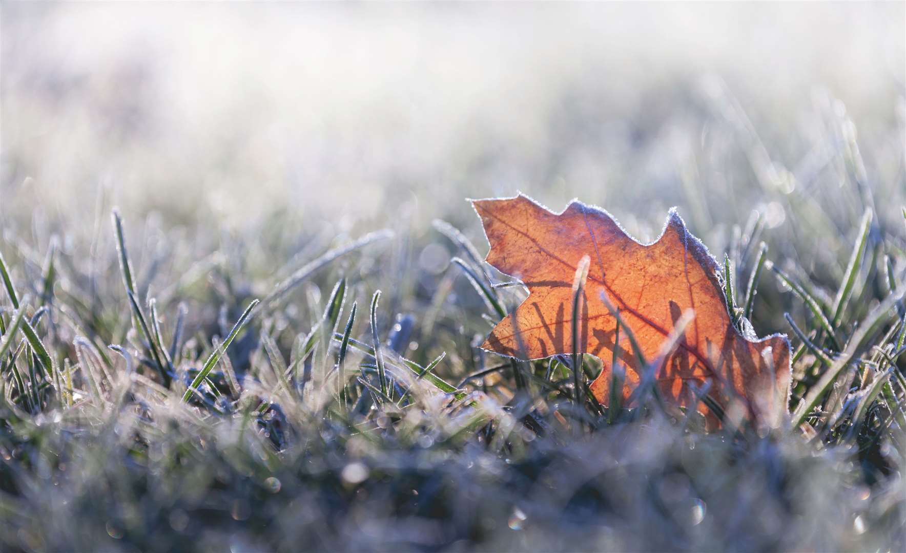 The Met Office is forecasting wintry weather ahead. Image: iStock.