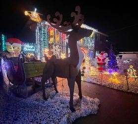 The handmade reindeer and sleigh at Reed Avenue, Canterbury. Picture: Nikita-Jane Parker