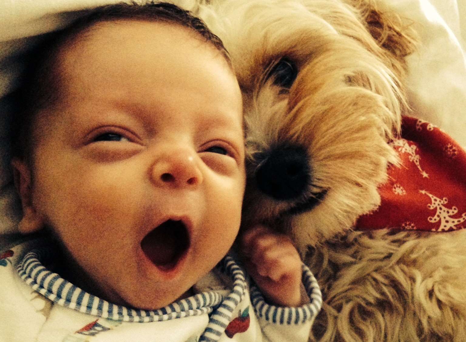 Baby Benjamin enjoying a cuddle with his friend Olly, the family dog