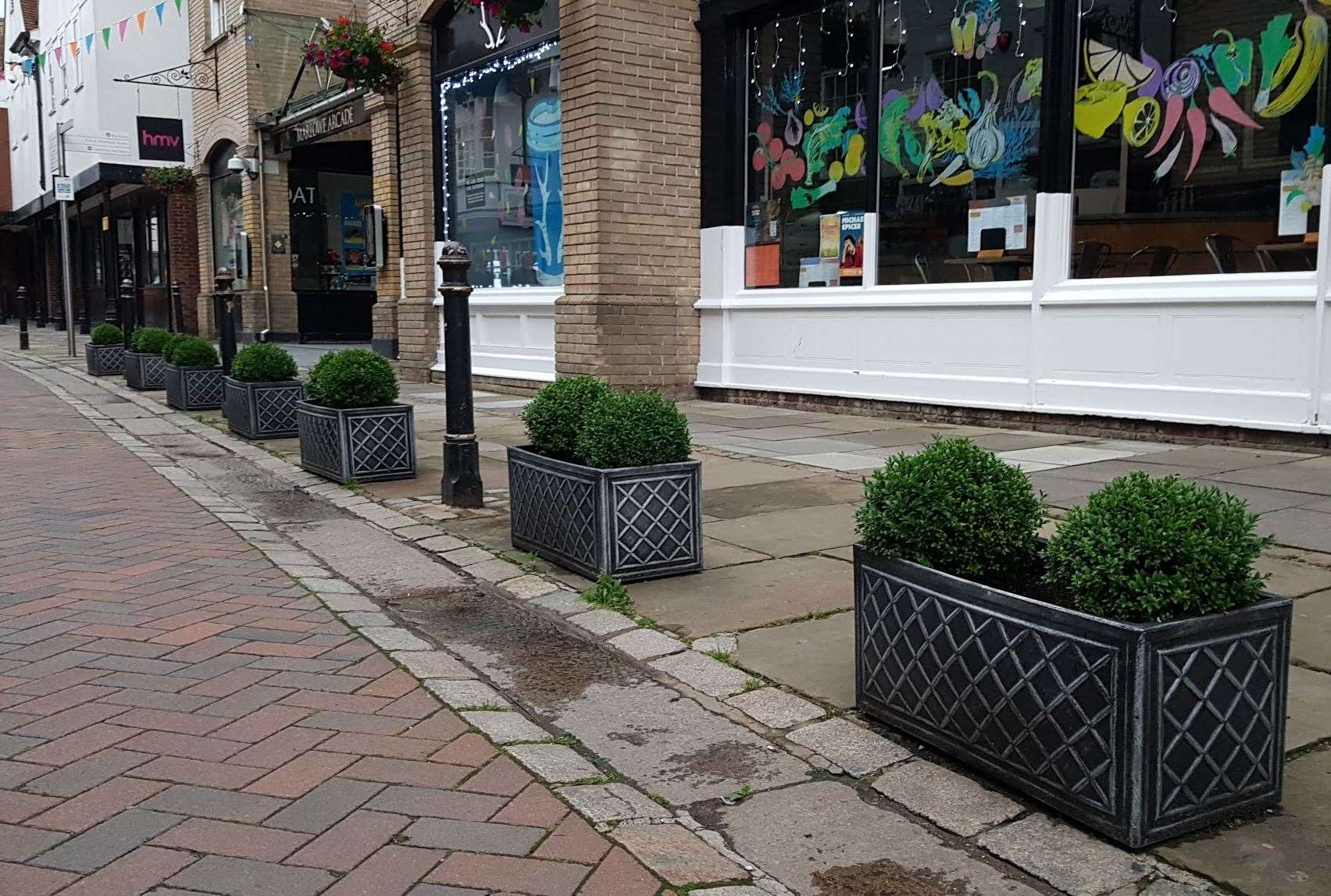 The planters outside Stag Coffee in St Margaret's Street, Canterbury
