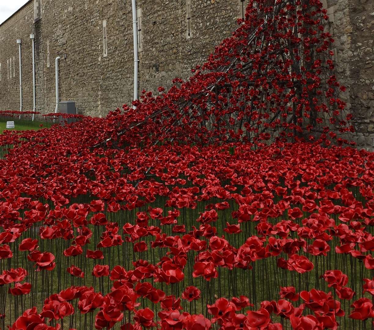 The poppy display at the Tower of London proved popular