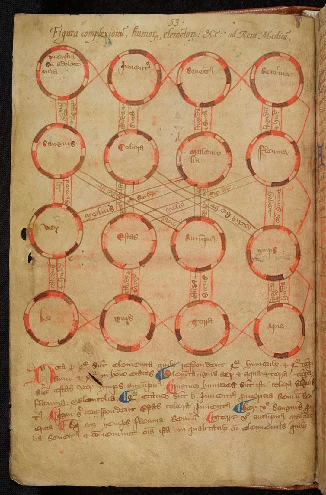 Diagnostic diagram linking a patient’s age, temperament, the seasons and the elements (The Master and Fellows of Trinity College, Cambridge/PA)