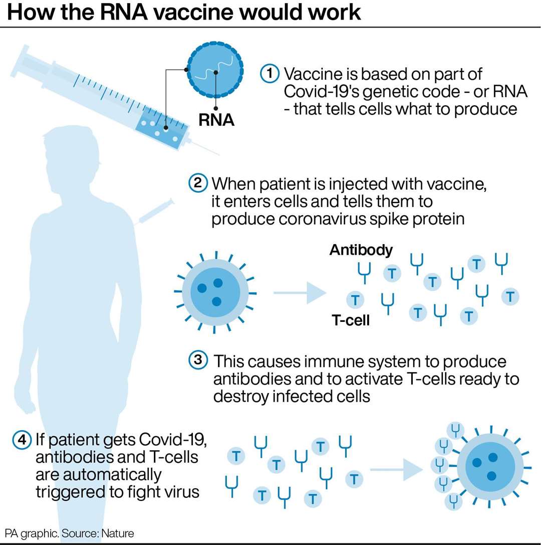 How the RNA vaccine would work (PA Graphics)