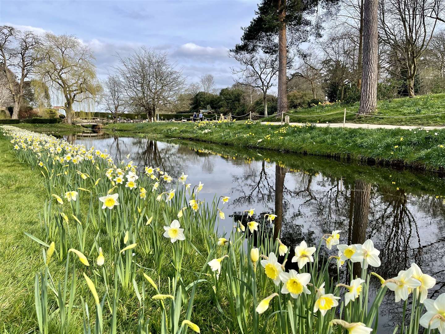 Daffodils line the outer moat. Picture: Vikki Rimmer