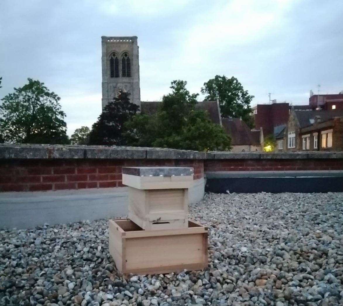 Hives which will house thousands of bees have been set up on the roof of the Fremlin Walk