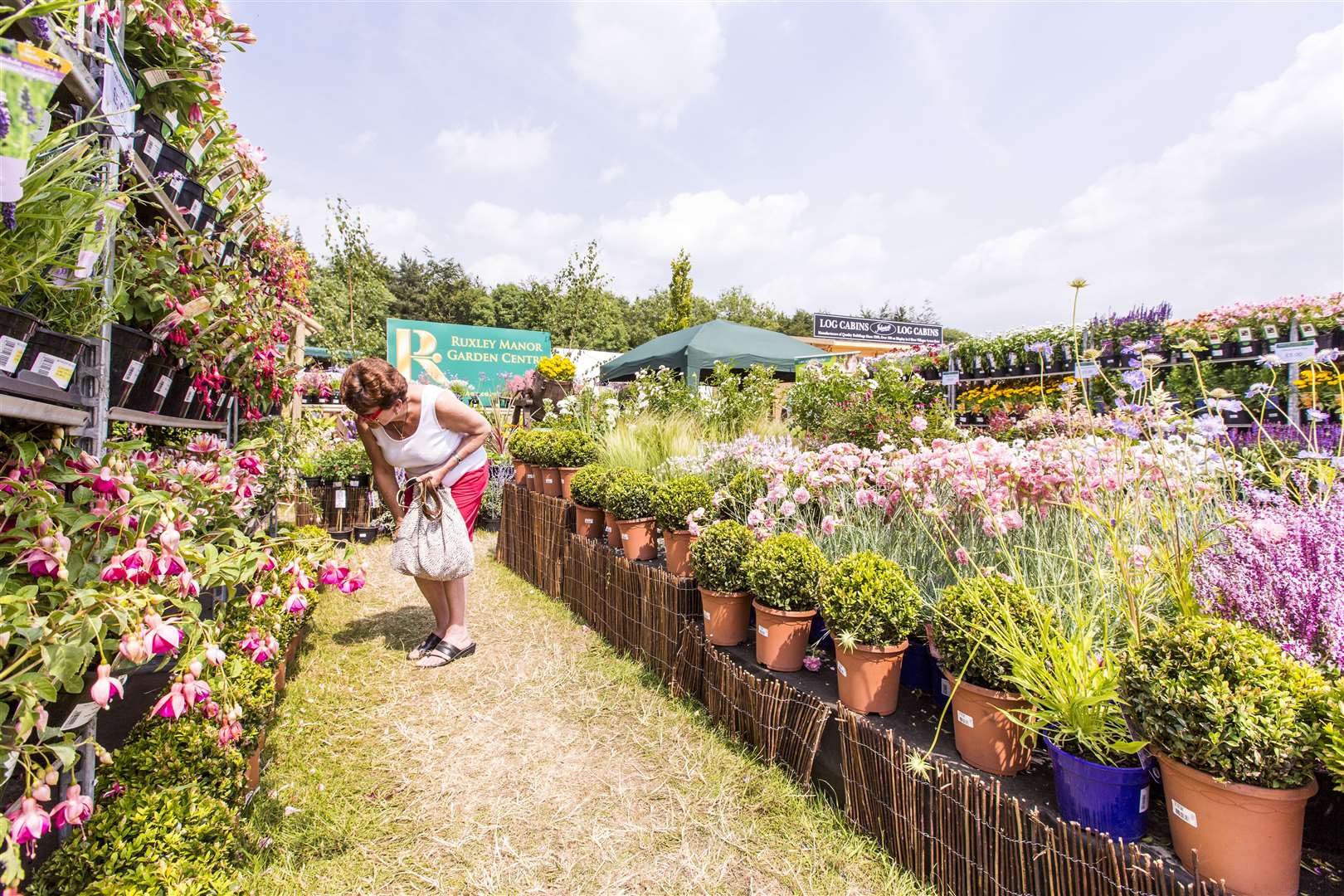 There's also the chance to pick up a bargain for your own garden. Picture: Thomas Alexander