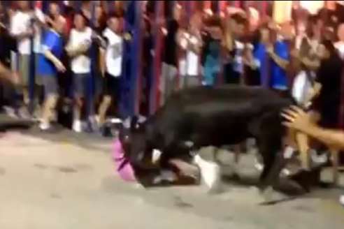 The bull slams its head into Peter, causing terrible injuries