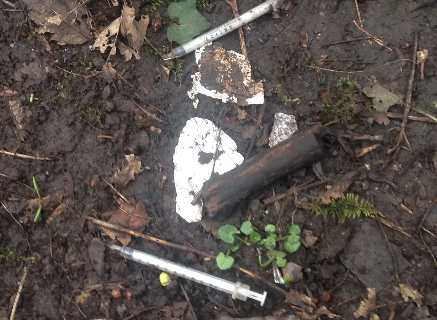 Syringes have been found in the woods in Faversham