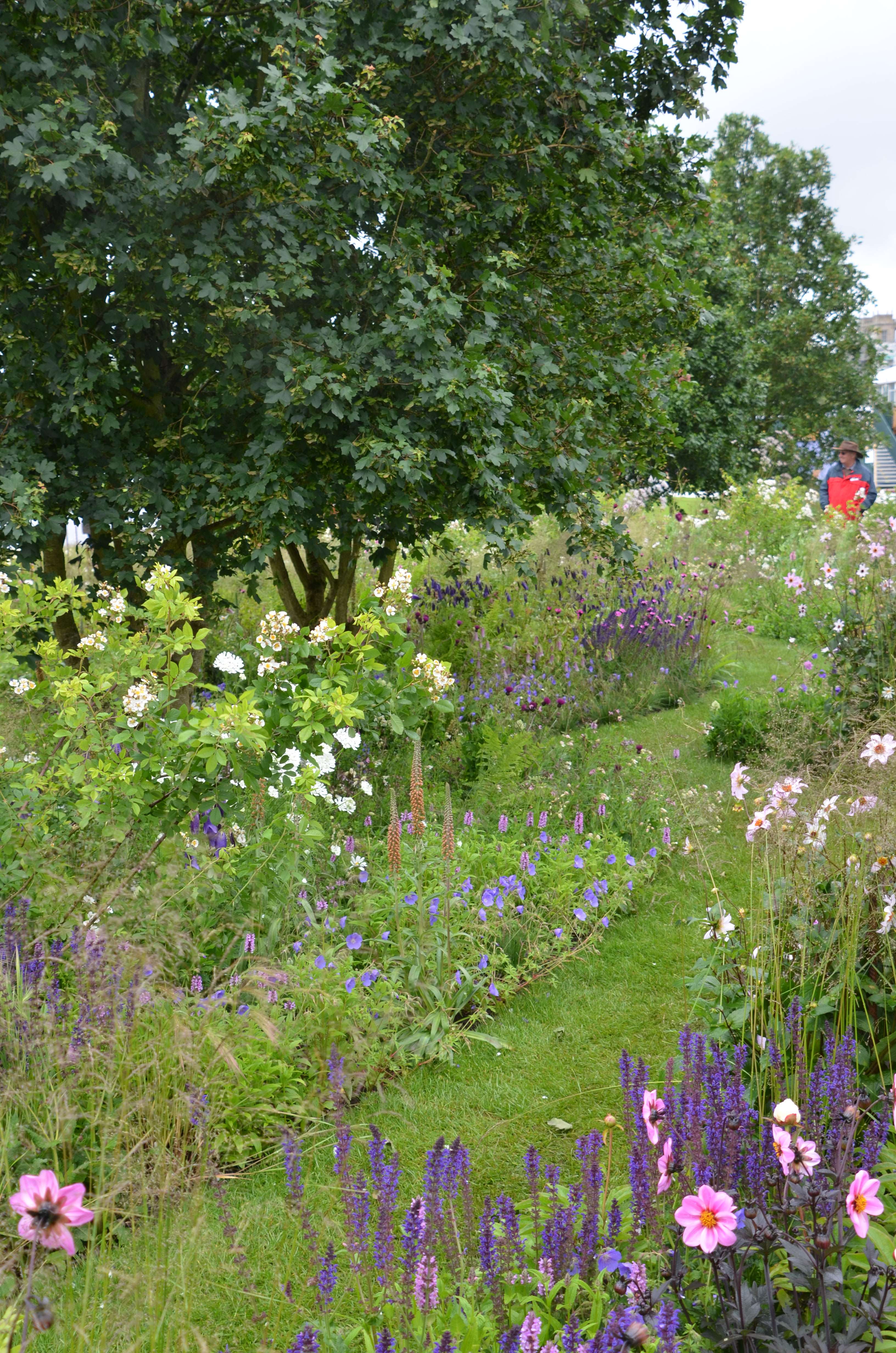 Jo Thompson's award-winning garden at Chatsworth won the People's Choice Picture by Ian West