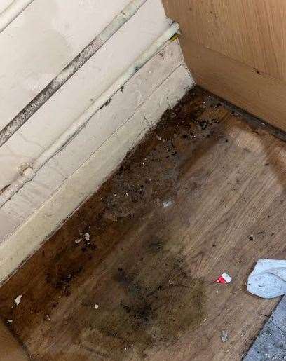 Some of the flats also have damp and mould. Picture: Hayley Atherton