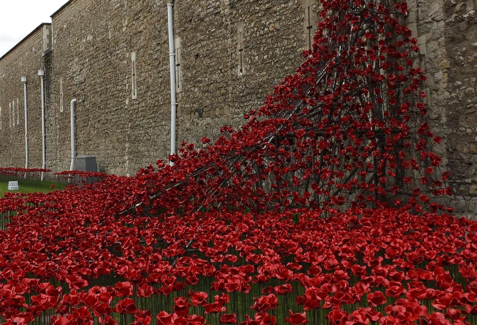 The Tower of London poppies which raised more than £1m for Haig Housing (4740311)