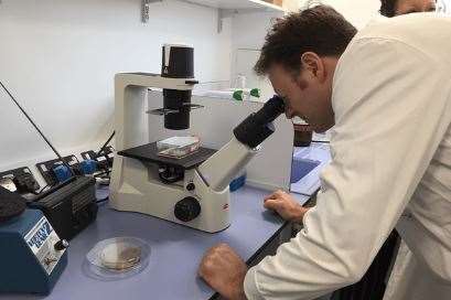 The search for a cure at a Brain Tumour Research lab
