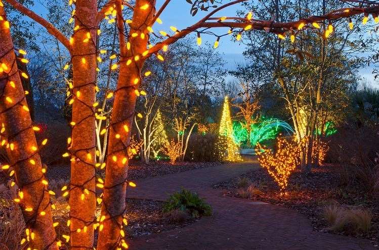 Glow Illumination Trail is coming to Cobtree Manor Park Picture: Glow Arts