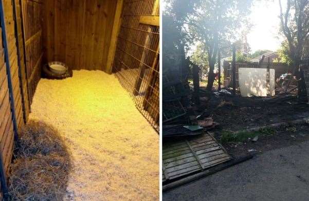 Before and after of the stables in Barnfield Park following the arson attack. Photo: Emma Lowers