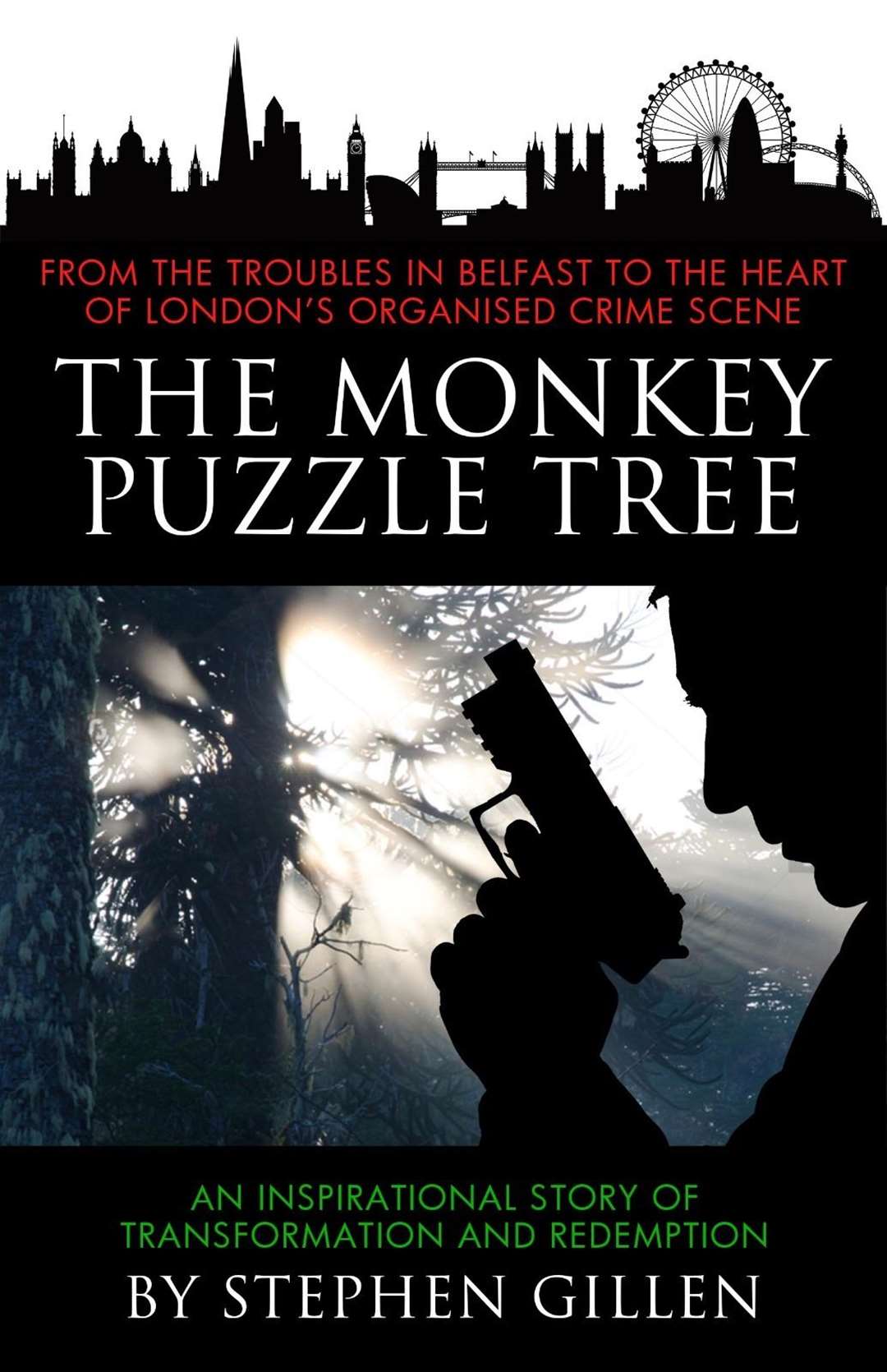 The cover of Mr Gillen's first book 'The Monkey Puzzle Tree' is set to be made into a Hollywood film. Picture: Daphne Diluce