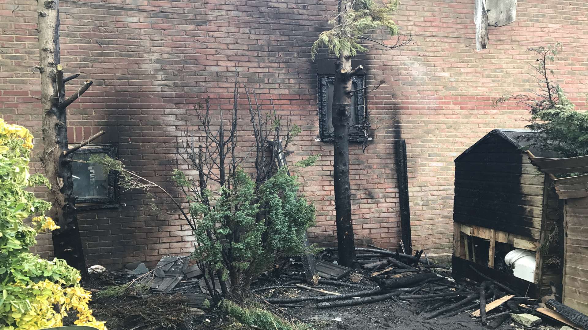 The fire damaged garden and house