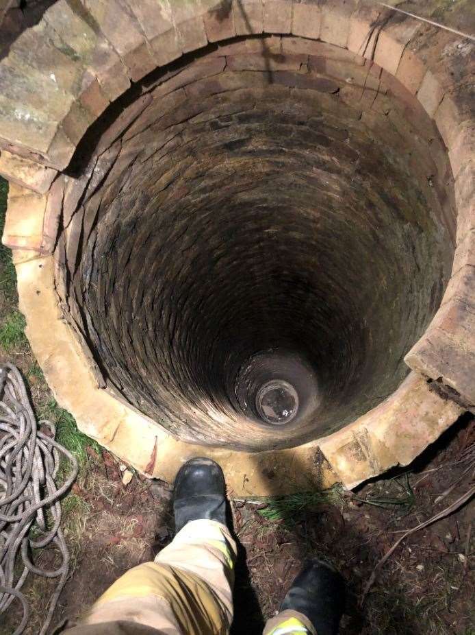 Kiki was stuck at the bottom of this well in a back garden in Meresborough Road, Rainham (9099806)