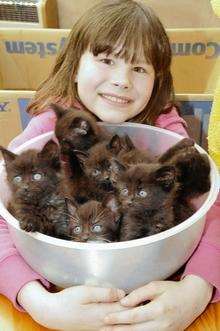 Nadine Foulds-Palmer, 10, with the bowlful of kittens