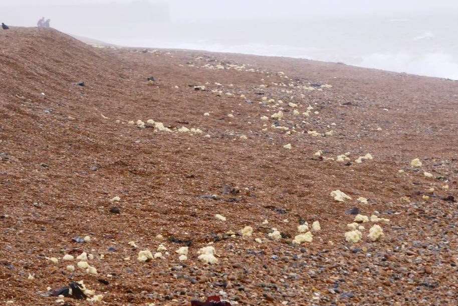 Suspected palm oil on the beach was found to be whelk egg cases